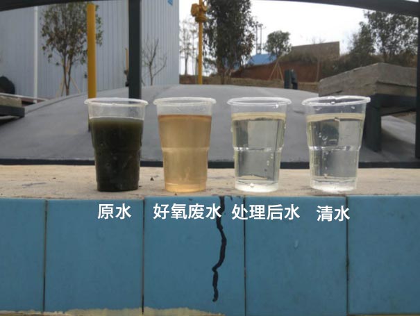 污水曝氣羅茨鼓風機應(yīng)用案例 污水曝氣羅茨鼓風機應(yīng)用案例
